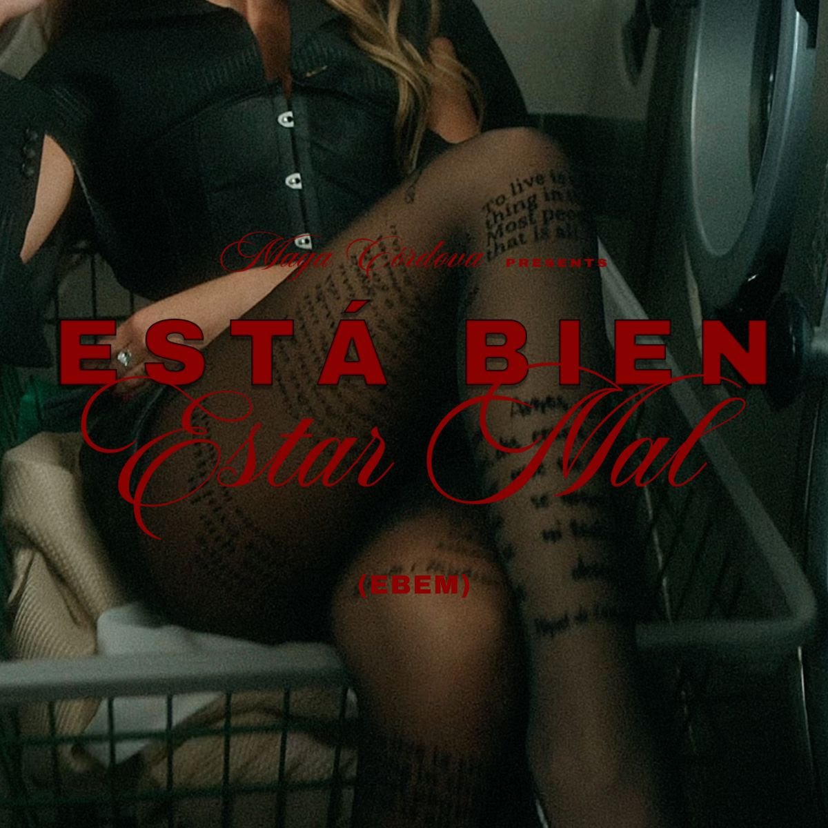 attachment-67f9cf2741ae262d691b4c4d