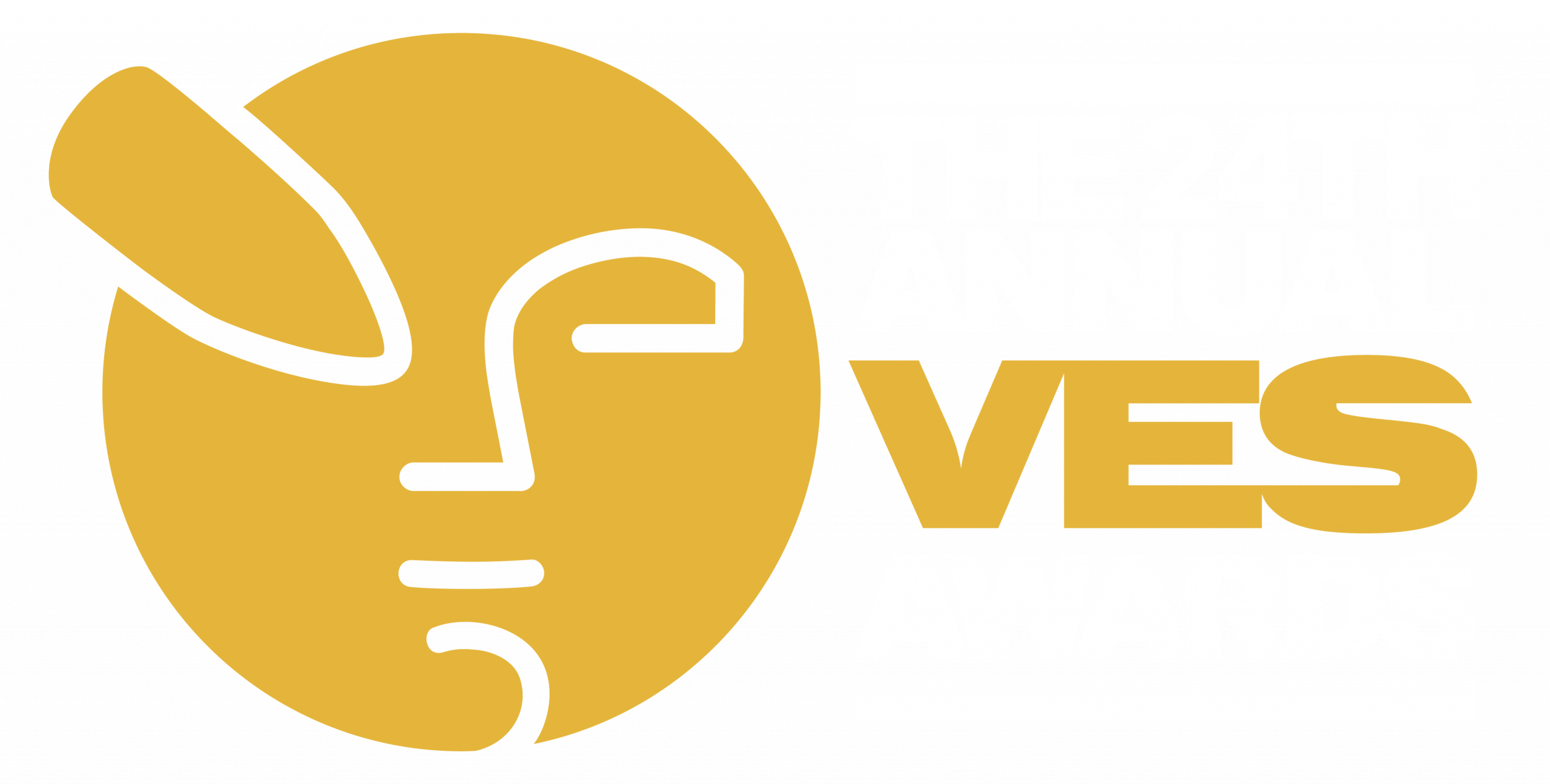 24th Annual VES Logo horizontal
