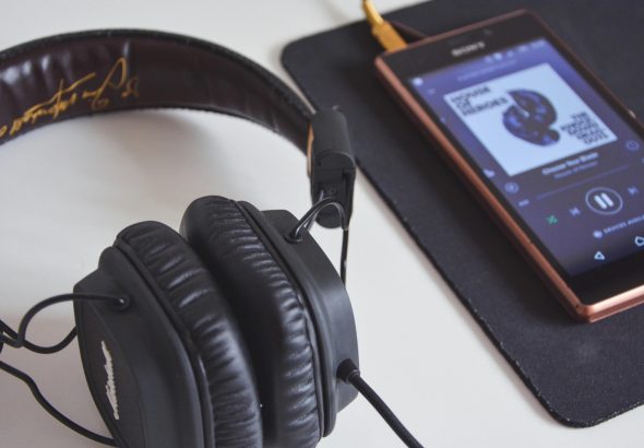 pexels-mcraftpix-21022