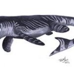 The T. proriger has been newly discovered.