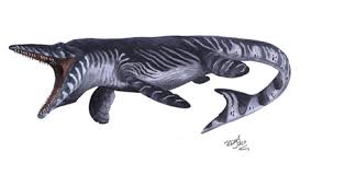 The T. proriger has been newly discovered.